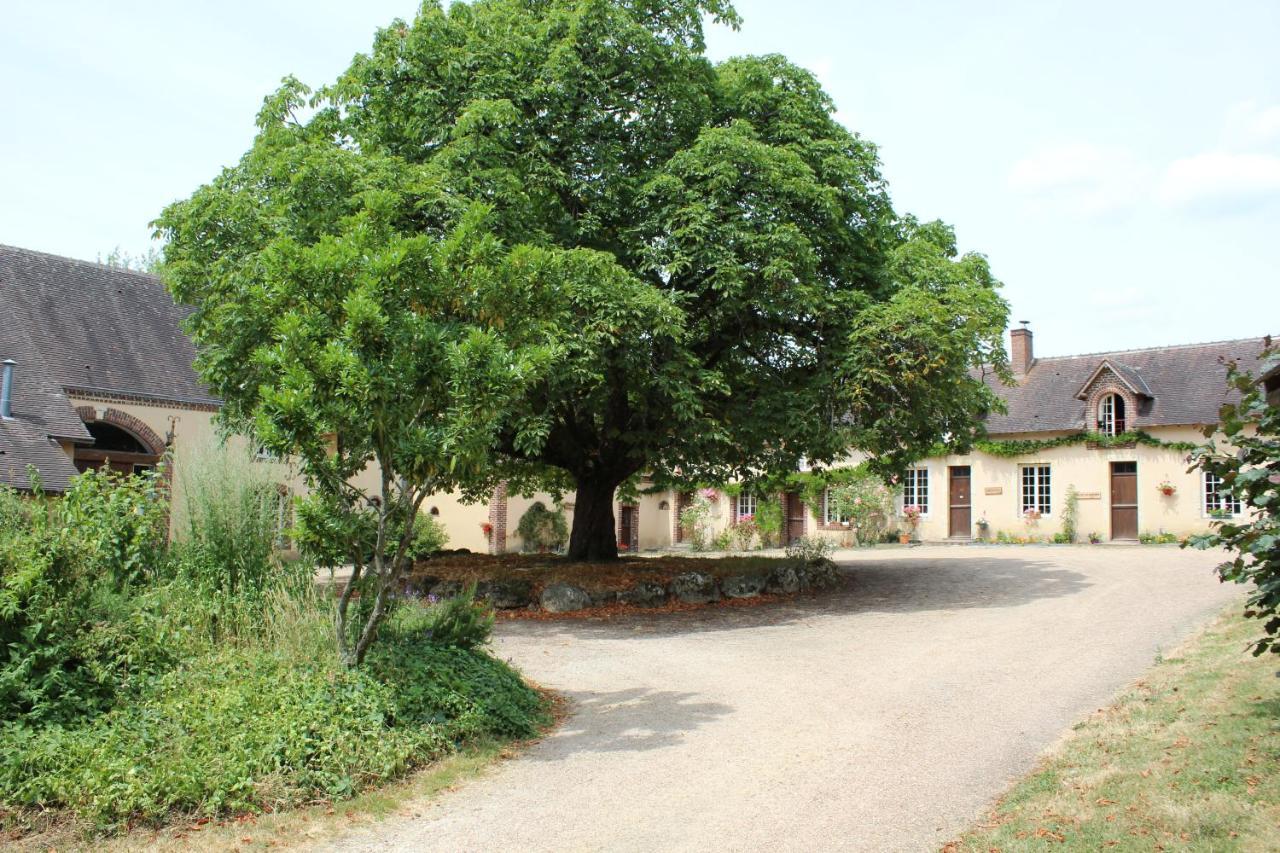 Gite Des Etangs De Beaulieu Le Plessis-Dorin Exterior foto