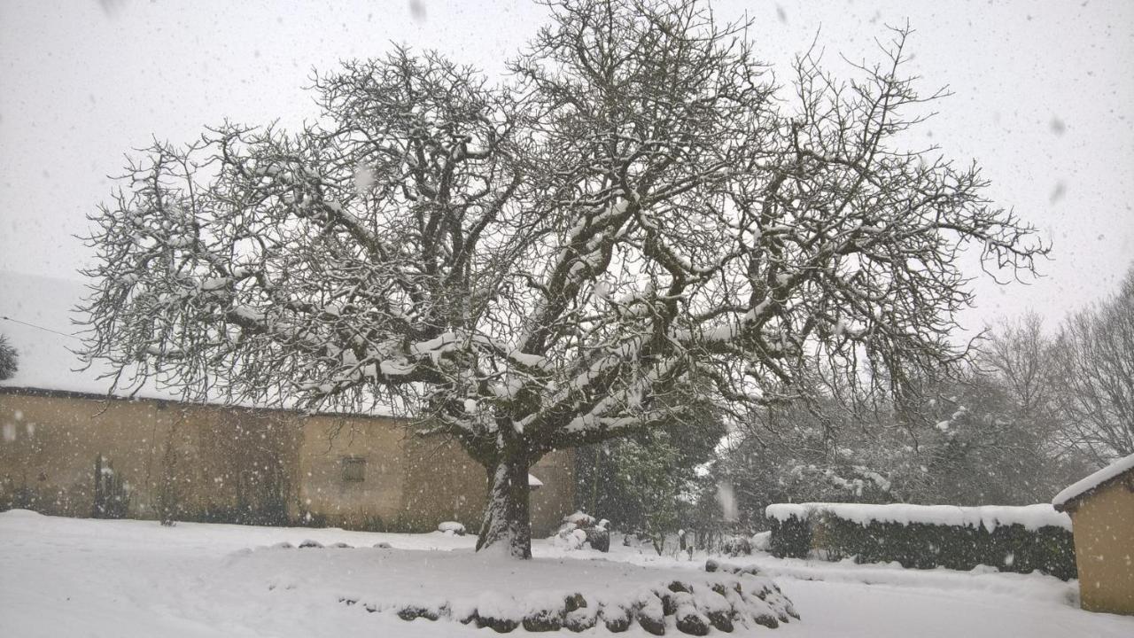 Gite Des Etangs De Beaulieu Le Plessis-Dorin Exterior foto